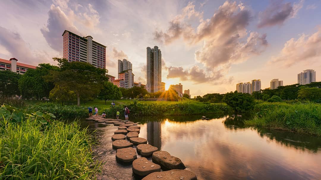 Bishan–Ang Mo Kio Park: The Heartland's Go-To Running Route