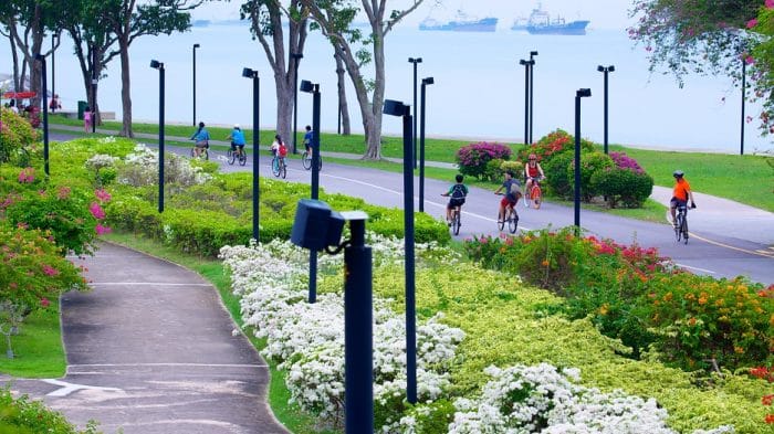 East Coast Park: The Ultimate Running Guide to Singapore’s Flat, Fast Coastal Corridor