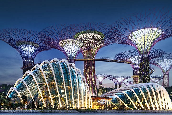 Gardens by the Bay and Marina Barrage: The Ultimate Guide to Singapore’s Most Scenic 5K