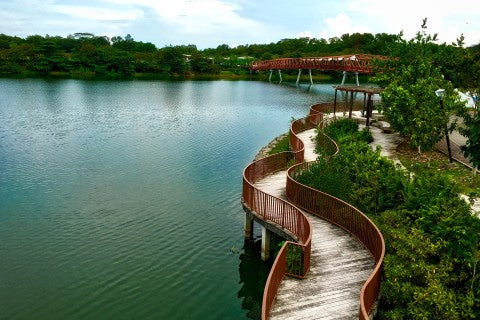 Punggol Waterway Park: The Northeast's Quiet Scenic Run
