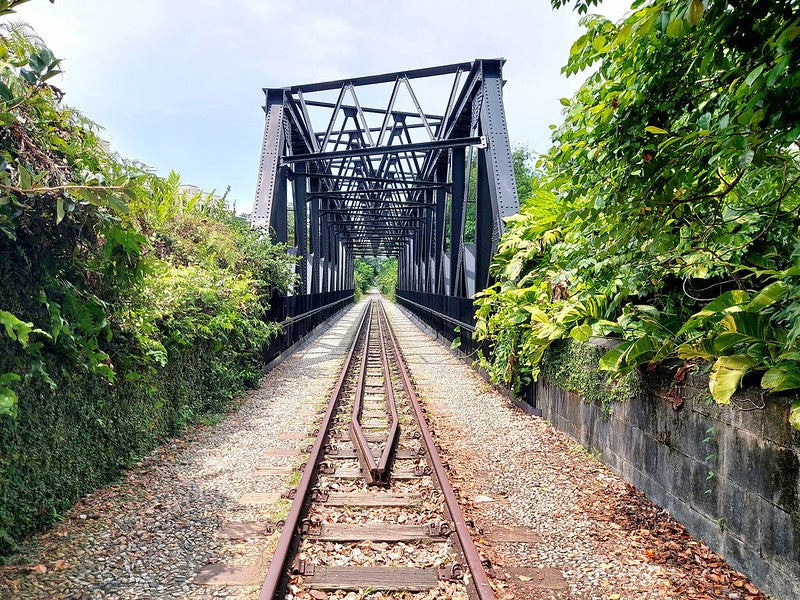 Rail Corridor: Where Singapore Goes for the Long Run