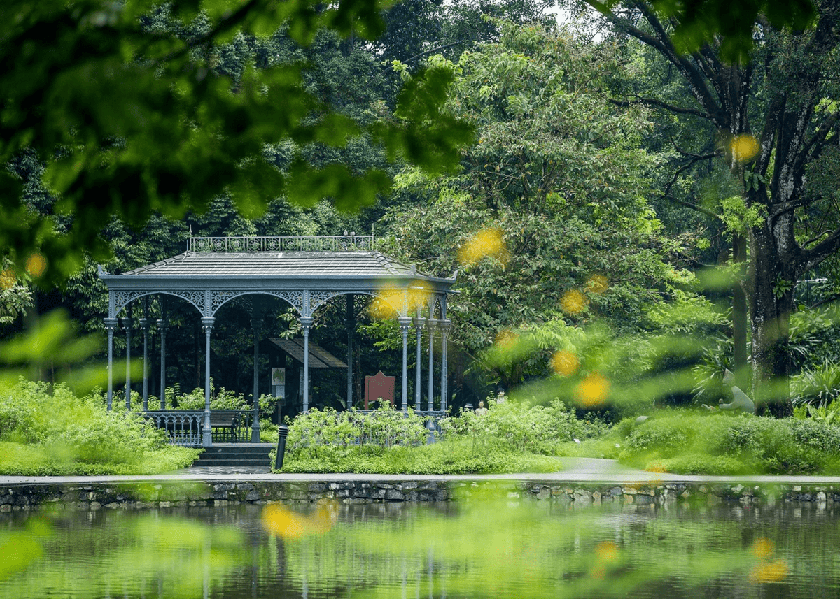 Singapore Botanic Gardens: A Shaded Run Through a UNESCO Landmark