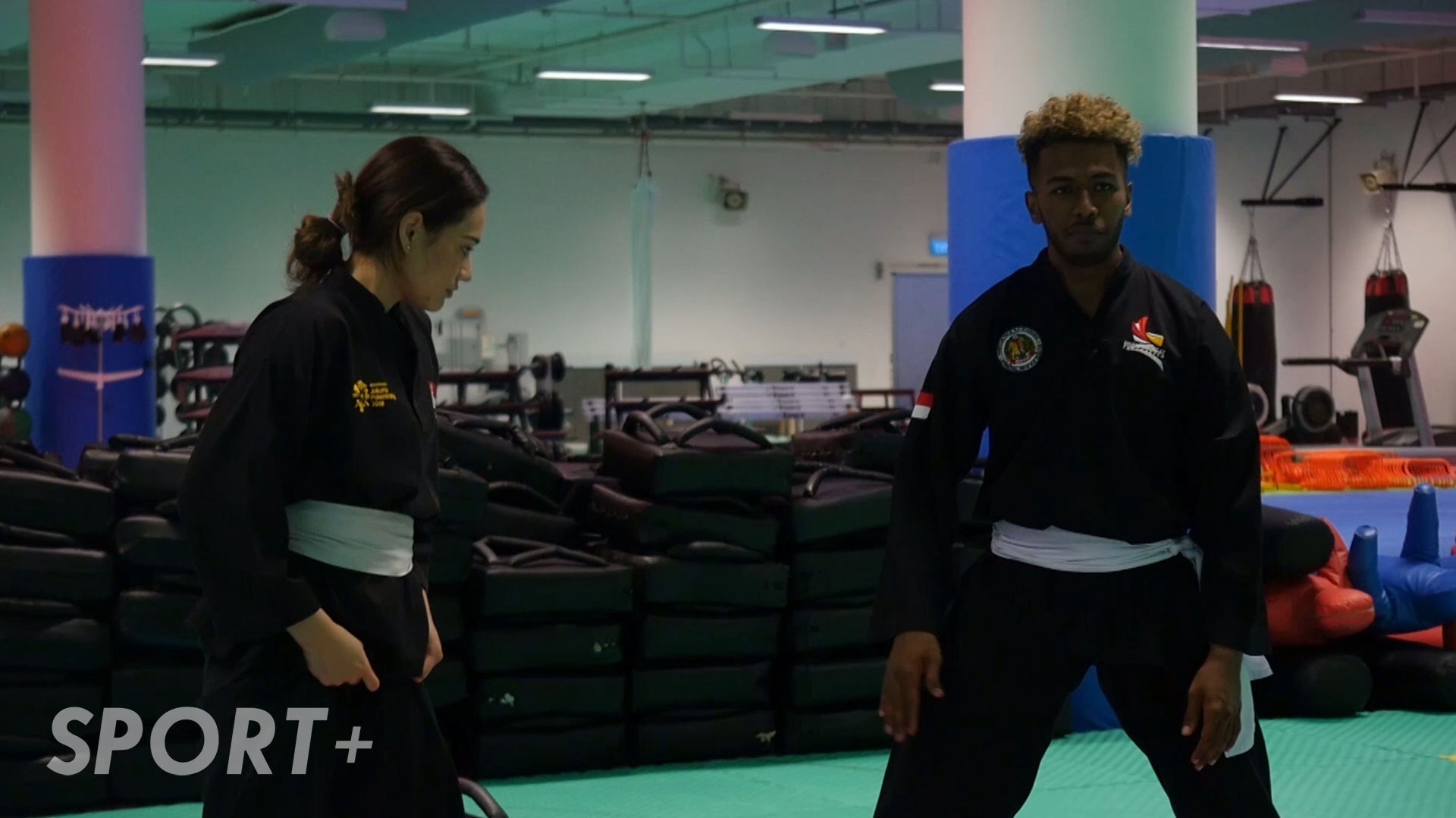 Silat's Kick Catch Takedown Technique