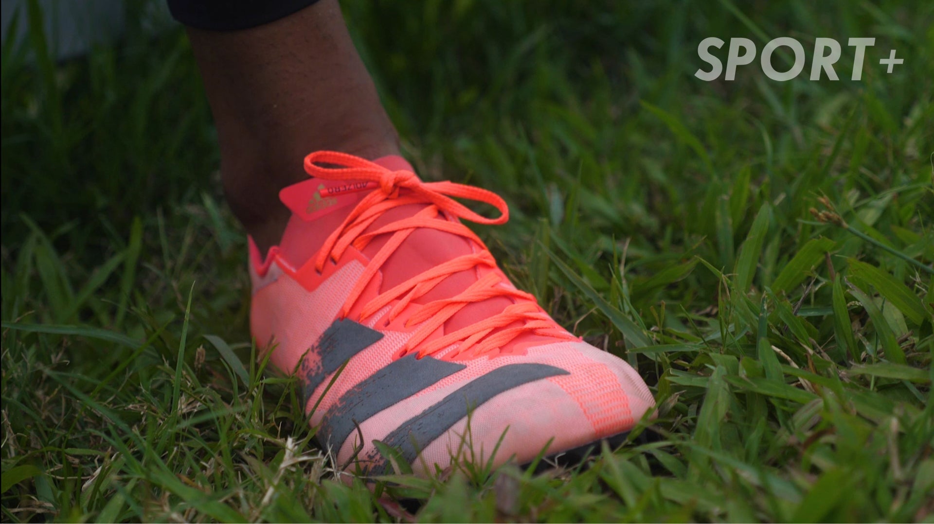 Athletics: 3 Tips on How To Sprint Faster with Singapore Sprinter Shanti Pereira 