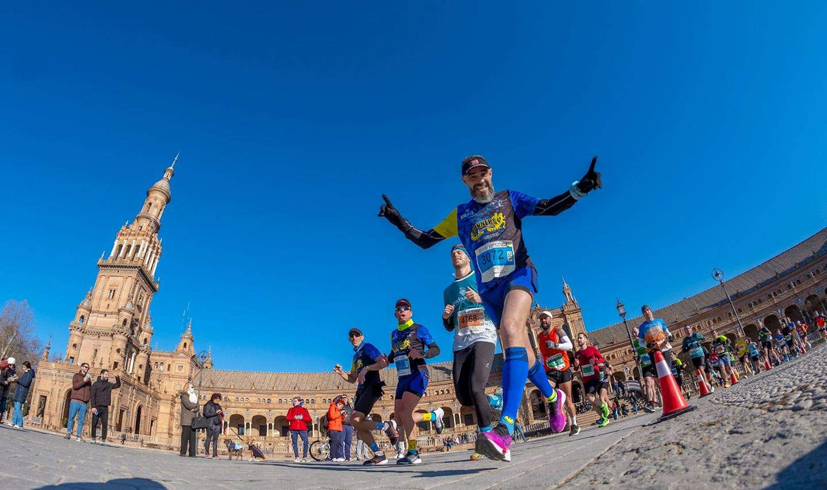 Seville Shakeout Run (Spain) Running Route: Map & GPX – SportPlus.sg