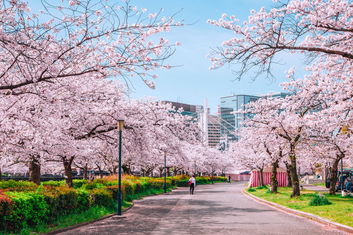 Yoyogi Park Run Tokyo (Japan) Running Route: Map & GPX – SportPlus.sg